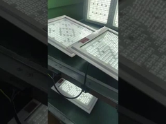 250w LED Patlama Kanıtlı Lambalar ATEX IECEx RoHS onaylı IP66 5 yıllık garanti