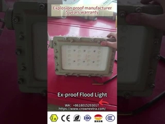 Ex proof LED Light FloodMarine Grade Alüminyum 250watt gemi anbarı offshore deniz endüstriyel açık hava için