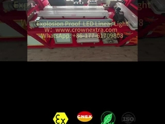 T8 Liner Anti-korozyon Paslanmaz Çelik Grp Patlama Kanıtlı Floresan Lamba Tek Tüp