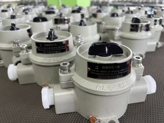 WF2 Gri Bölge 22 ile 220V / 380V Patlama Kanıtlı Elektrik Seçicisi Değiştiricisi