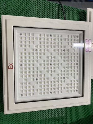 Patlama Kanıtlı LED Sel Işığı, Lamba Bead CREE ve 50-240Watt kategorisinde