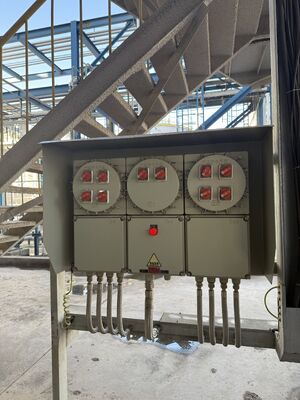 Korozyon Direnci IP 65 380V Elektrik Alev Geçirmez Kontrol Panelleri Patlamaya Dayanıklı Kesici Panel Kabini