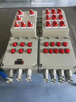 Petrol / Gaz Endüstrisi Eks-kanıtlı IP66 Kontrol Kutusu Patlama Kanıtlı Kontrol Paneli Tahta Patlama Kanıtlı Kontrol Kabineti