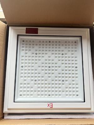 ATEX 18*18 Inch Square Shape Patlama Kanıtlı Işık 100w 130lm/w Petrol İstasyonu Işığı Beş Yıllık Garantiyle