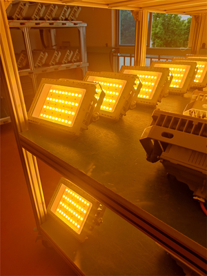 50W 100W 200W 250W Patlama Dayanıklı LED Sel Işığı Sertifikalı ATEX IECEx RoHS CNEX ISO9001