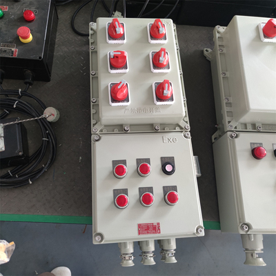 IP66 Patlama Dayanıklı Alev Dayanıklı Kontrol Panelleri WF2 Özel Kablo Girişi ile ATEX Sertifikalı