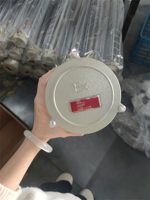 Sınıf 1 Div 1 Ex Kanıtlı doğrusal floresan ışığı ATEX IECEx RoHS CNEX ISO ile Deniz Offshore Tesisleri için