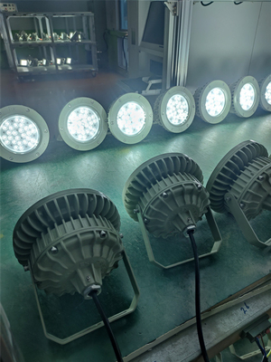 Ex Kanıtlı Yüksek Körfez Işığı 180lm/w ATEX korozyona dayanıklı IP66 LED Dış Tavan Işığı 50W-250W