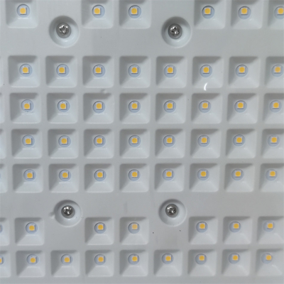 50-300Watt Patlama Dayanıklı Ekstrem Şartlar İçin LED Floodlight MEANWELL Sürücüsü ve 3000/4000/5000/5700K CCT ile Güçlendirilir