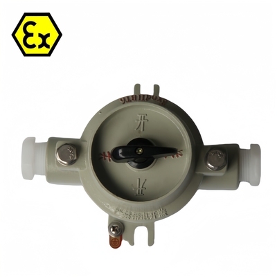 380/220VAC 10-60A Patlama Kanıtlı Değiştirici Su geçirmez