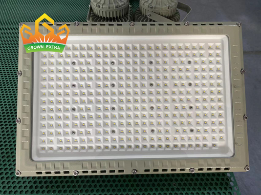 MEANWELL Sürücüsü ile içsel olarak güvenli LED Alüminyum floodlight