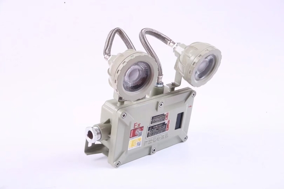 Endüstriyel 2*3Watt 220VAC 24/36VDC Alev geçirmez acil durum aydınlatması