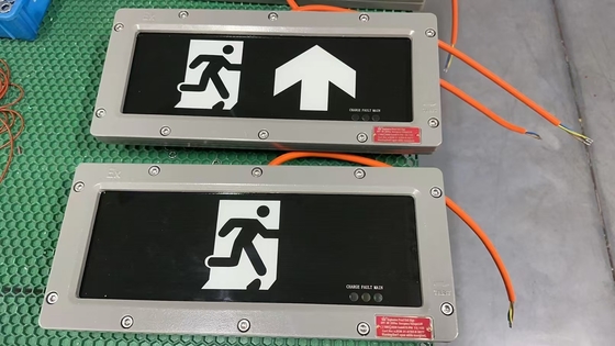 OEM Patlamaya Dayanıklı LED Çıkış Işığı 24VDC/36VDC/AC | Zone 1/Zone 2 Uygulamaları için Sertifikalı Güvenlik Aydınlatması