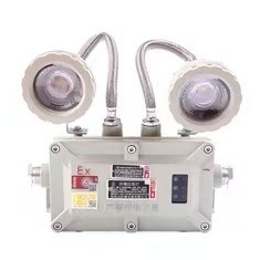 Patlama Dayanıklı Exproof Acil Durum Işığı 2*3Watt LED 220VAC 24/36VDC Bölge 1 2 için