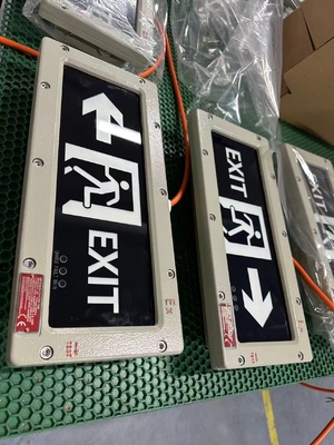 OEM Patlamaya Dayanıklı LED Çıkış Işığı 24VDC/36VDC/AC | Zone 1/Zone 2 Uygulamaları için Sertifikalı Güvenlik Aydınlatması