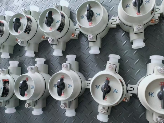 G3/4 Kablo Girişi Koruma IP66 Ex Db IIC ile Yüzey Montajı 10A Patlama Güvenli Değiştiricisi