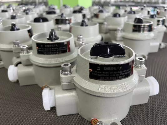 Korrozyona dayanıklı Patlama Kanıtlı Anahtar 9-13mm Kablo Girişi için Ip66 Koruma Seviyesi