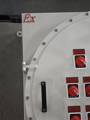 220V ATEX Patlama Dayanıklı Işıklama Güç Dağıtım Panelleri Korozyona Dayanıklı Duvar Montaj Kutusu Panel Patlama Dayanıklı özelleştirilebilir