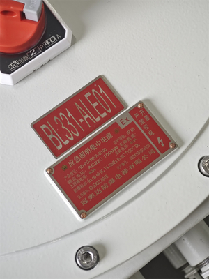 Enerji Verimli ATEX Patlamaya Dayanıklı Kontrol İstasyonu – Alev Korumalı Elektrik Kontrol Kutuları 220/380Vac G1/2", G3/4", G1, G1.1/4", G1.1/2", G2