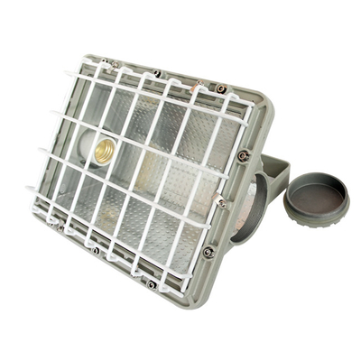 IP66 WF2 Koruması, CREE lamba boncukları ile özünde güvenli LED floodlight'larda bulunur