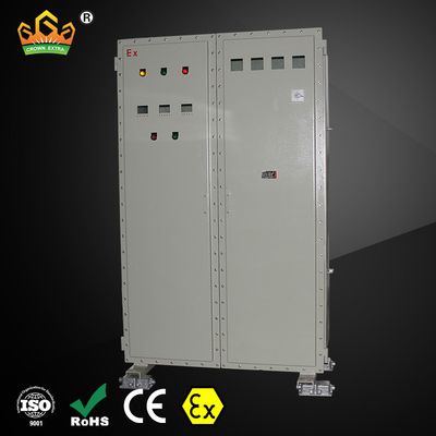 IP66 Patlama Karşıtı Anahtar Yüzeyi 2 Kutup Yüksek Koruma Seviyesi Dayanıklı