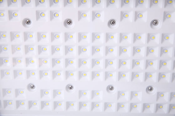 50 ′′ 240W özelleştirilebilir patlama geçirmez LED floodlight CREE Chips ATEX tehlikeli alanlar için sertifikalı