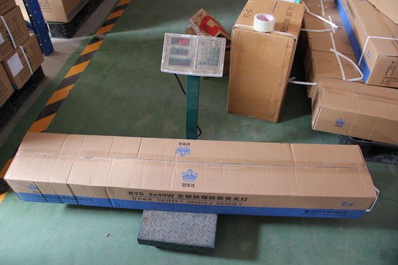 ATEX/IECEx/CNEX Patlama Dayanıklı Doğrusal LED Işık ¢ Tehlikeli Yerler İçin Endüstriyel Dereceli Işıklandırma, Enerji Tasarrufu, IP66, Özel Güç & Renk Sıcaklığı Seçenekleri