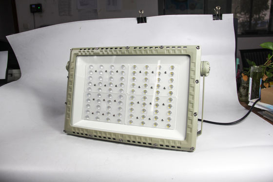 ATEX/IECEx Sertifikalı 250W Patlama Dayanıklı LED Sokak Işığı