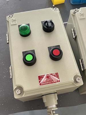 220V ATEX Ex Db IIC T6 Gb Ex-Proof Kontrol İstasyonu