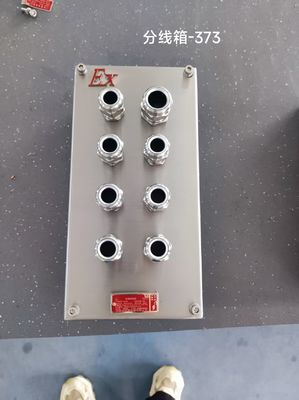 Özelleştirilebilir Paslanmaz 304 Patlama Kanıtlı Kanal Kutusu, FLP Çapraz Kutusu Korozyona Karşı Koruma Kutusu