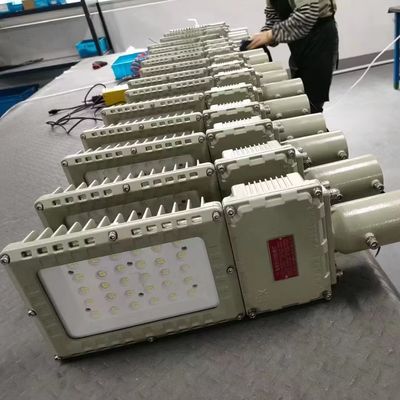 Sıcak Satış Yüksek Lumen Patlama Karşıtı Sel Işığı IP66 WF2 koruma seviyesi