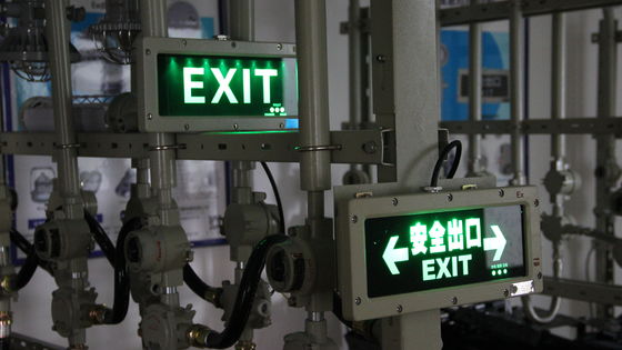 Fabrikadan Doğrudan Satış Atex Led Patlamaya Dayanıklı Acil Durum Kimya Endüstrisi Ip66 Su Geçirmez Benzin İstasyonu Çıkış Lambaları