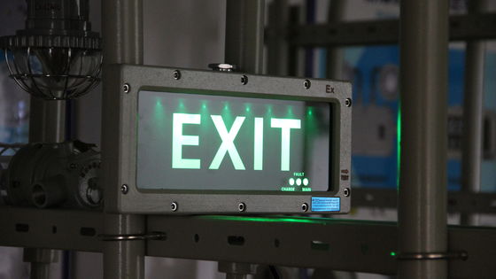 Fabrikadan Doğrudan Satış Atex Led Patlamaya Dayanıklı Acil Durum Kimya Endüstrisi Ip66 Su Geçirmez Benzin İstasyonu Çıkış Lambaları