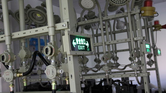 Fabrikadan Doğrudan Satış Atex Led Patlamaya Dayanıklı Acil Durum Kimya Endüstrisi Ip66 Su Geçirmez Benzin İstasyonu Çıkış Lambaları
