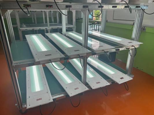 Yüksek Lumen tüpleri ışığı Patlama geçirmez Floresan lamba 100lm/w özel renk sıcaklığı 5 Yıl Garanti Atex