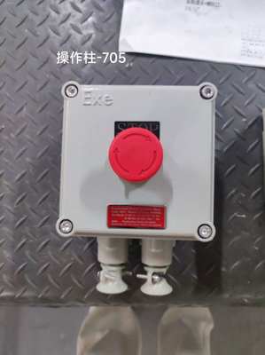 Çin'de yapılmış ATEX 220V / 380V BLK IP65 Patlama Güvenli İzolasyon Anahtarı Duvar Montajı için Uygun