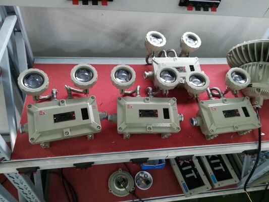 Patlamaya Dayanıklı Çift Kafalı Alüminyum Alaşımlı Gövde Acil Durum Işığı 220VAC/24VDC Güvenlik IP66 LED ışık