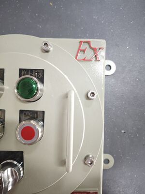 Çin'de yapılmış ATEX 220V / 380V BLK IP65 Patlama Güvenli İzolasyon Anahtarı Duvar Montajı için Uygun