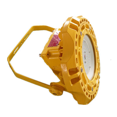 Tehlikeli Alanlar İçin Parlak ve Güvenli Aydınlatma Sağlayan 6500 ila 26000 Lümen Patlamaya Dayanıklı Yüksek Tavan Aydınlatma Sistemleri