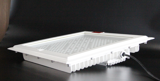 Patlamaya Dayanıklı LED Projektör Yüksek Parlaklık 100-250W, Maksimum 5700K CCT, Benzin İstasyonu Tehlikeli Bölgeleri İçin 5 Yıl Hizmet Garantisi