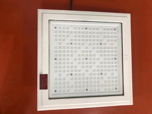 ATEX 18*18 Inch Square Shape Patlama Kanıtlı Işık 100w 130lm/w Petrol İstasyonu Işığı Beş Yıllık Garantiyle